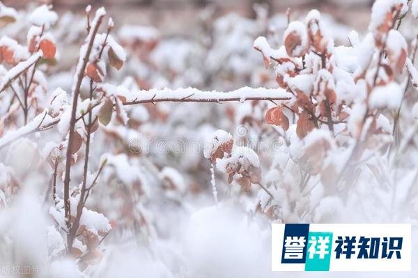 “小雪不见雪，来年长工歇”，啥意思，什么预兆，有科学道理吗？