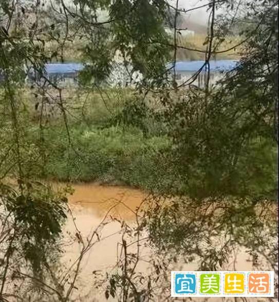 四川小伙被骗至缅北3年后逃脱！诈骗团伙发布“