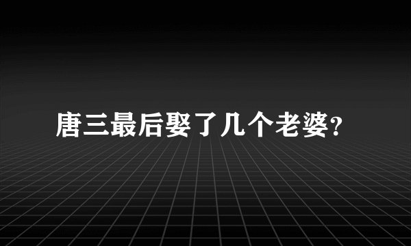 唐三最后娶了几个老婆？