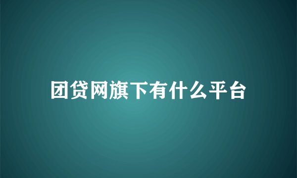 团贷网旗下有什么平台