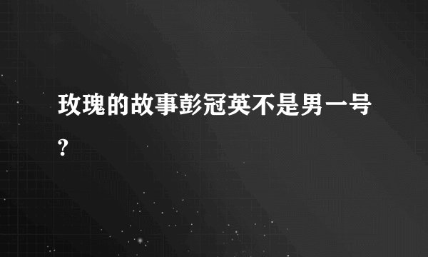 玫瑰的故事彭冠英不是男一号?