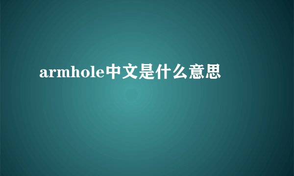 armhole中文是什么意思