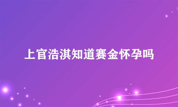 上官浩淇知道赛金怀孕吗