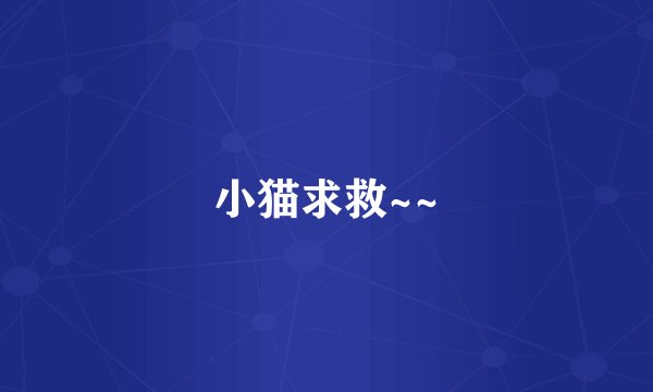 小猫求救~~