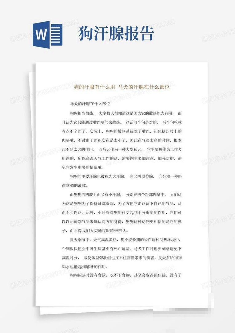 狗的汗腺分布在哪