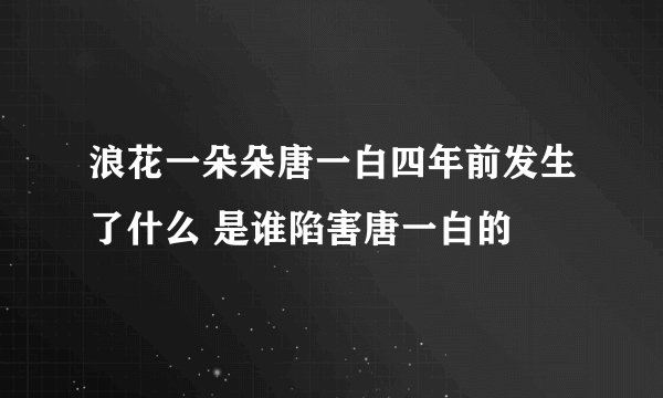 浪花一朵朵唐一白四年前发生了什么 是谁陷害唐一白的
