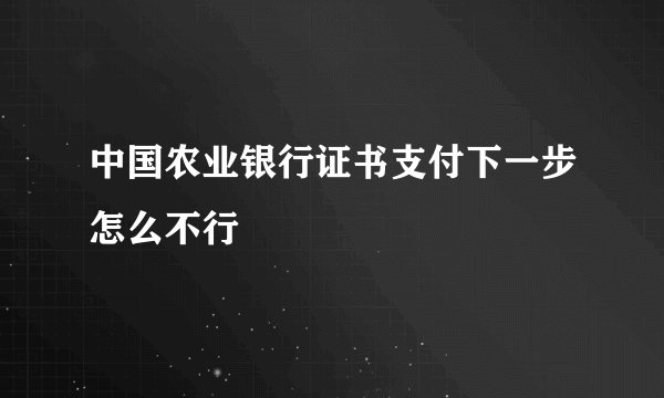 中国农业银行证书支付下一步怎么不行