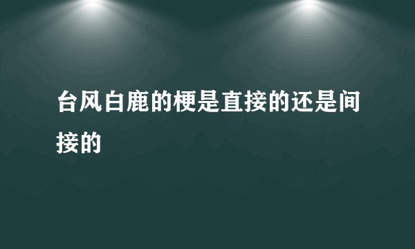 台风白鹿的梗是直接的还是间接的