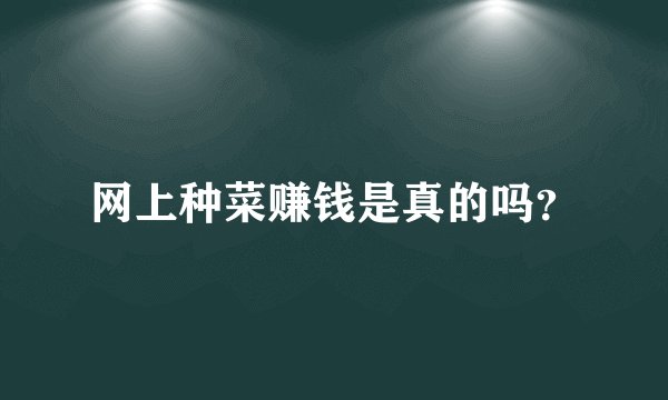 网上种菜赚钱是真的吗？