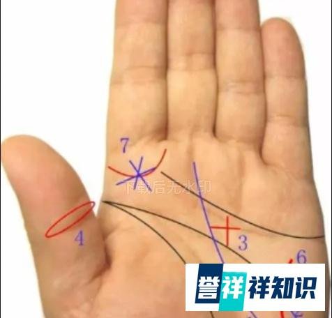 适合学习易经的手相特征