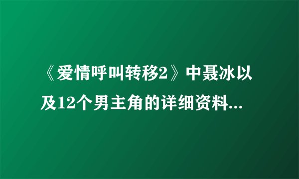 《爱情呼叫转移2》中聂冰以及12个男主角的详细资料，有图片更好。