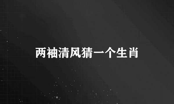 两袖清风猜一个生肖