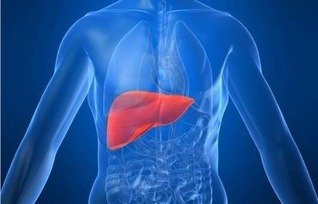 赵英俊死后遗产分配疑曝光,财产留给父母音乐版权给薛之谦,对此你怎么看?