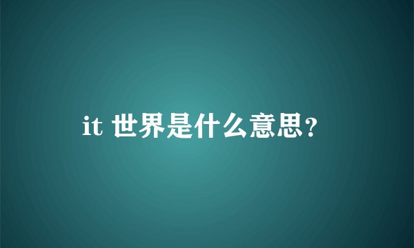 it 世界是什么意思？