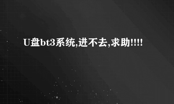 U盘bt3系统,进不去,求助!!!!