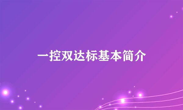 一控双达标基本简介
