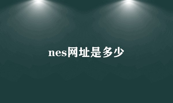 nes网址是多少