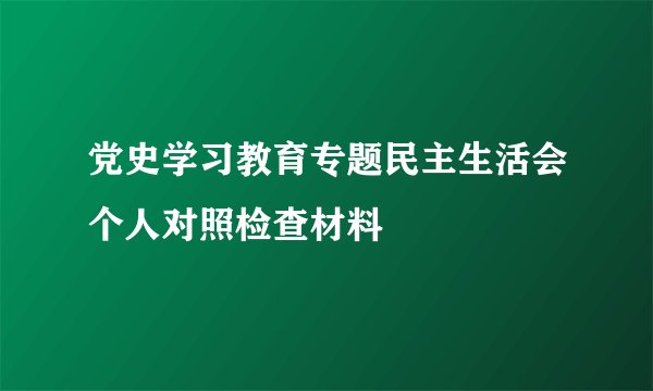 党史学习教育专题民主生活会个人对照检查材料