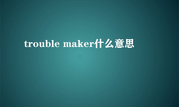 trouble maker什么意思