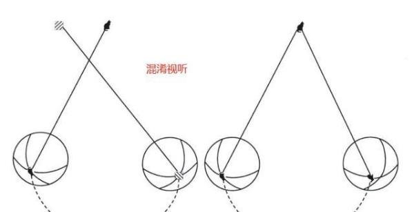 “一鲸落,万物生”,这些网络毒手又在瞎说!