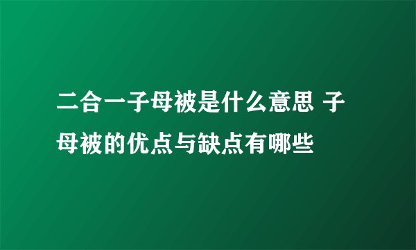 二合一子母被是什么意思 子母被的优点与缺点有哪些