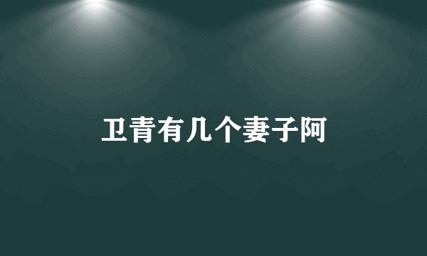 卫青有几个妻子阿