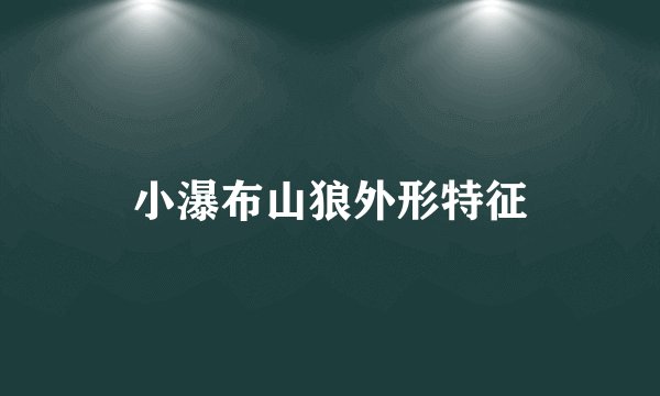 小瀑布山狼外形特征