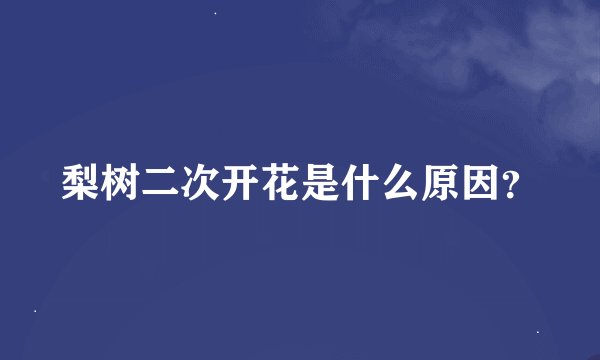 梨树二次开花是什么原因？