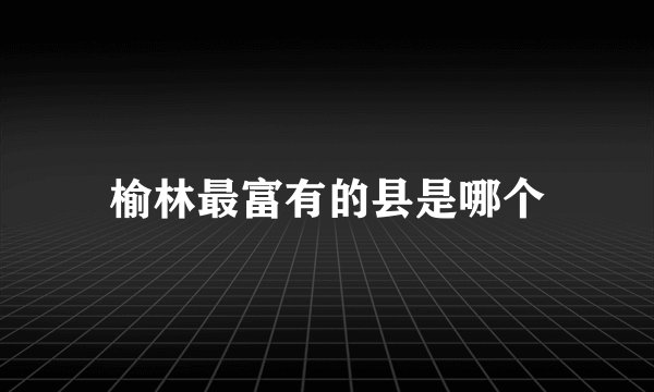 榆林最富有的县是哪个