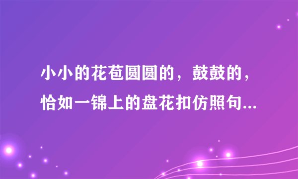 小小的花苞圆圆的，鼓鼓的，恰如一锦上的盘花扣仿照句子描写一种植物的外形。
