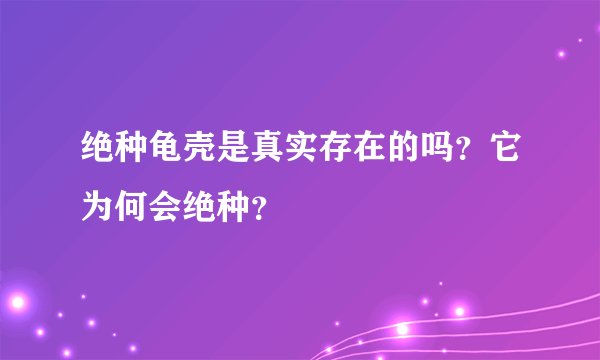 绝种龟壳是真实存在的吗？它为何会绝种？