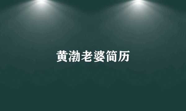 黄渤老婆简历