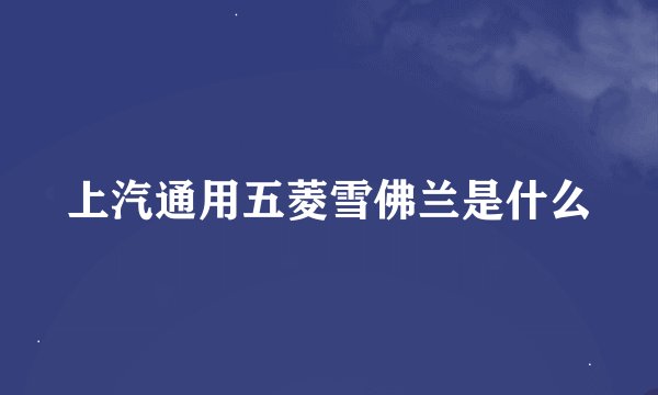 上汽通用五菱雪佛兰是什么
