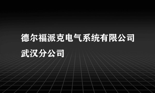 德尔福派克电气系统有限公司武汉分公司