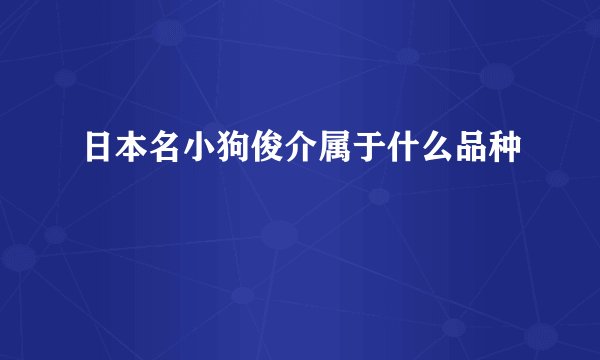 日本名小狗俊介属于什么品种