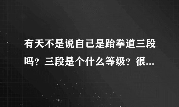 有天不是说自己是跆拳道三段吗？三段是个什么等级？很厉害吗？
