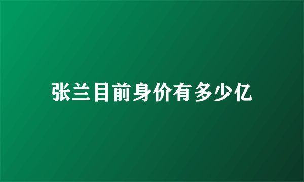 张兰目前身价有多少亿