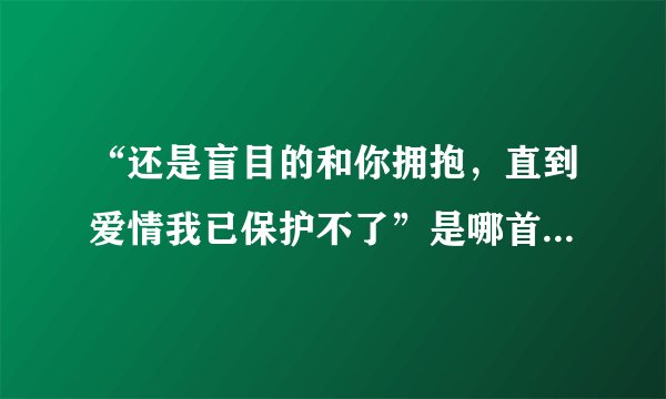 “还是盲目的和你拥抱，直到爱情我已保护不了”是哪首歌的词？