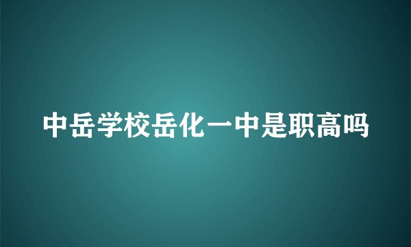 中岳学校岳化一中是职高吗