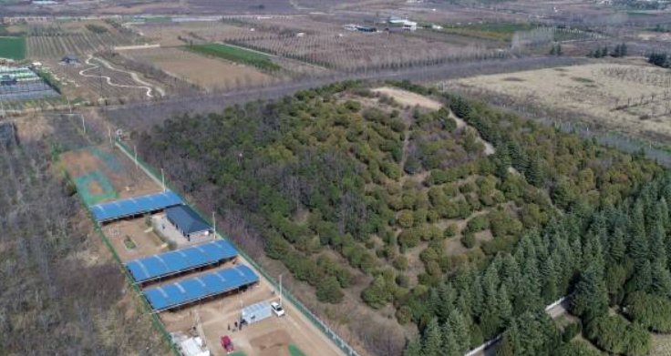 汉文帝霸陵为何离刘邦长陵会有那么远?