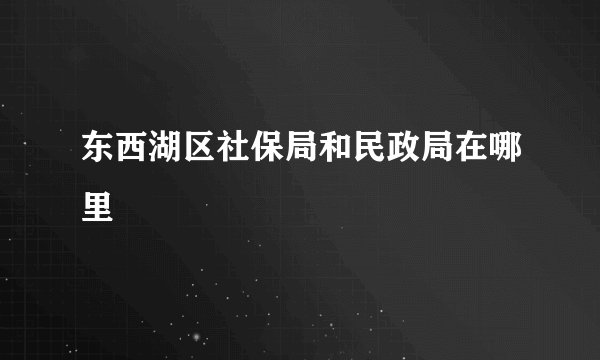 东西湖区社保局和民政局在哪里