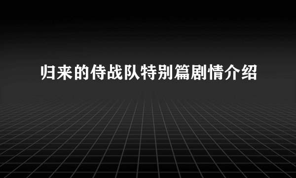 归来的侍战队特别篇剧情介绍