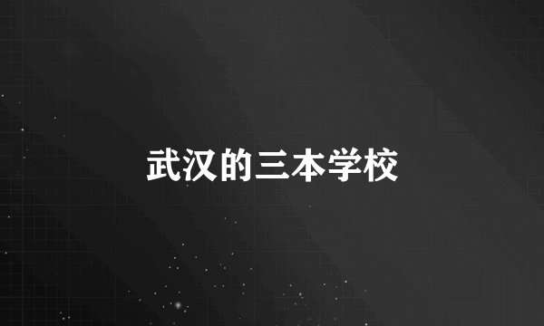 武汉的三本学校