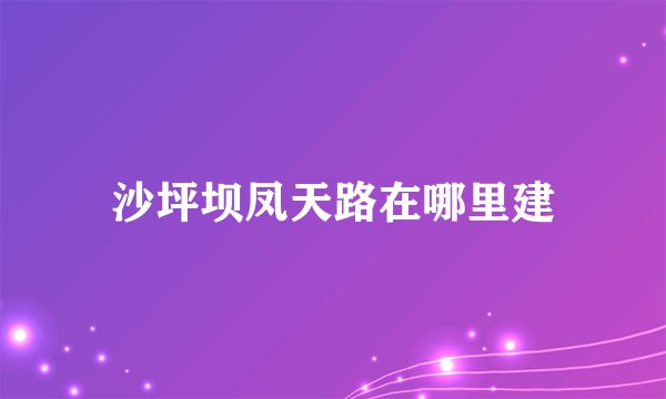 沙坪坝凤天路在哪里建