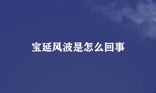 宝延风波是怎么回事