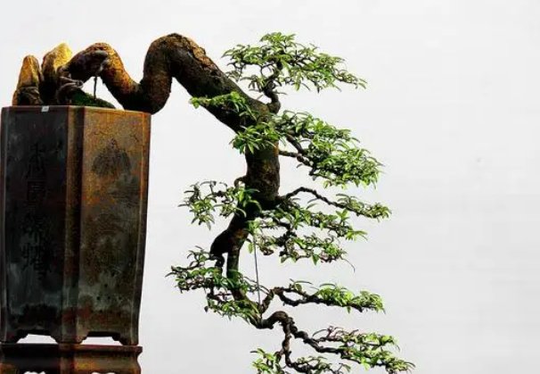 立体的画无声的诗是描述哪种艺术