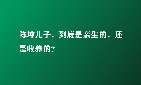 陈坤儿子，到底是亲生的，还是收养的？