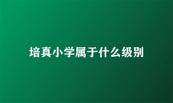 培真小学属于什么级别
