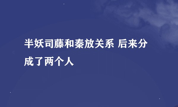 半妖司藤和秦放关系 后来分成了两个人
