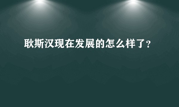 耿斯汉现在发展的怎么样了？